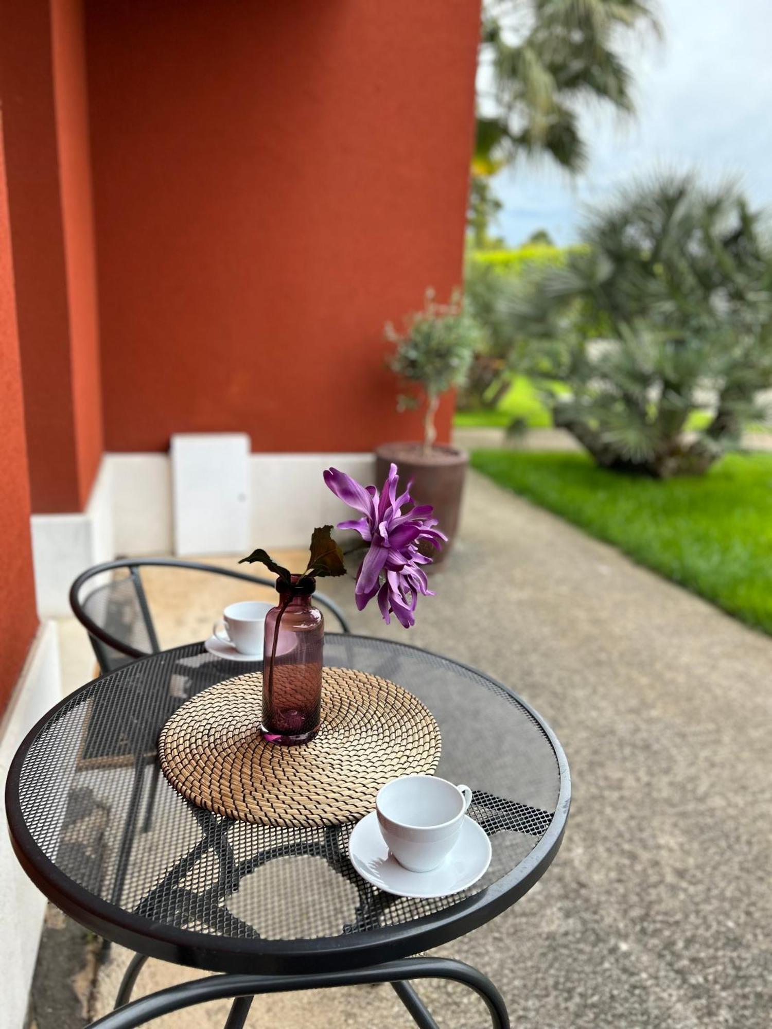 Ivni Apartmani Novigrad Istria Kültér fotó